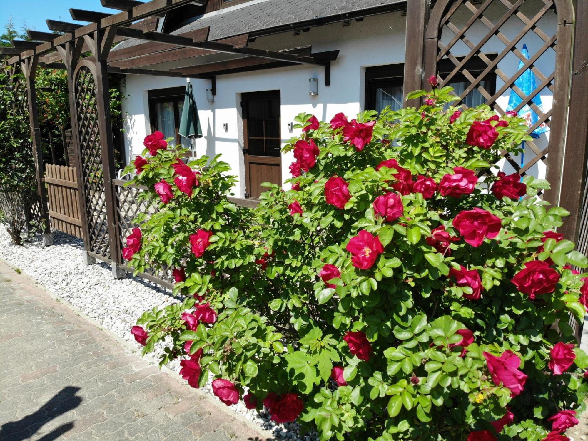 Ferienhaus Kress Links Sellin  Exterior foto